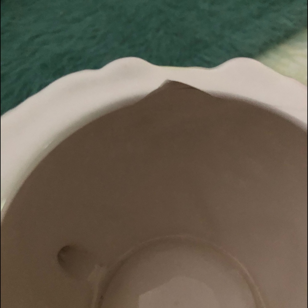Pitcher planter - Picture 2 of 3